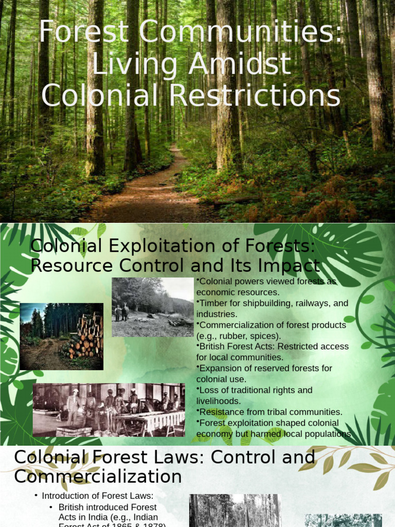 Colonial Exploitation of Forest Communities | PDF