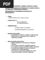 Rabbit Blood Collection Techniques | PDF | Intravenous Therapy | Blood