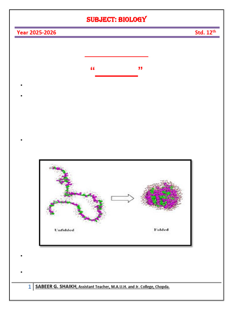 Enzymes | PDF | Enzyme | Active Site