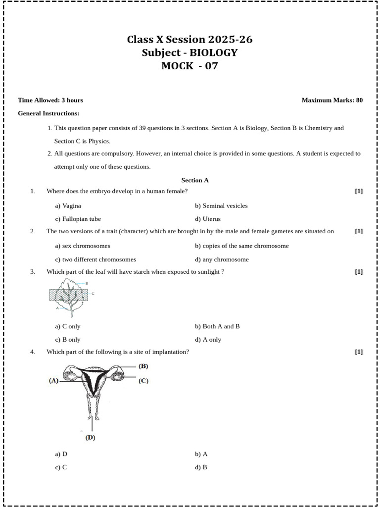 bio m 7 | PDF | Neuron | Biology