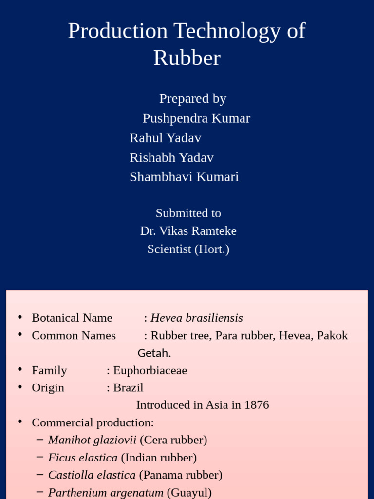 Rubber Production Technology Overview | PDF | Natural Rubber | Grafting