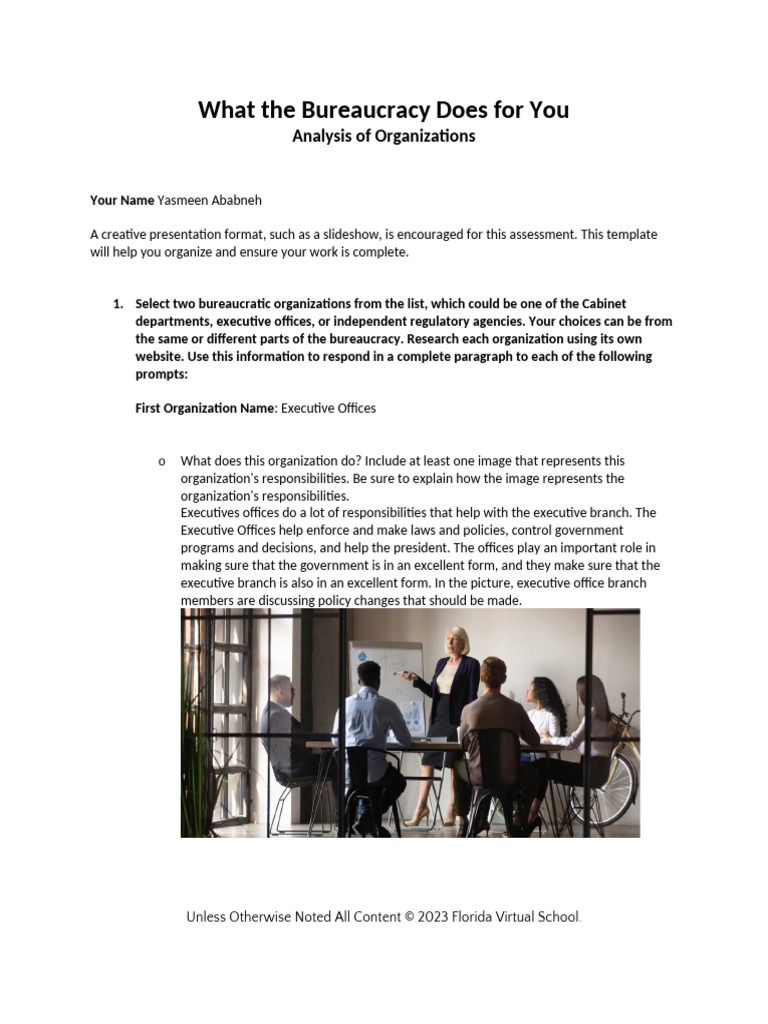 Understanding Bureaucratic Organizations | PDF | United States ...