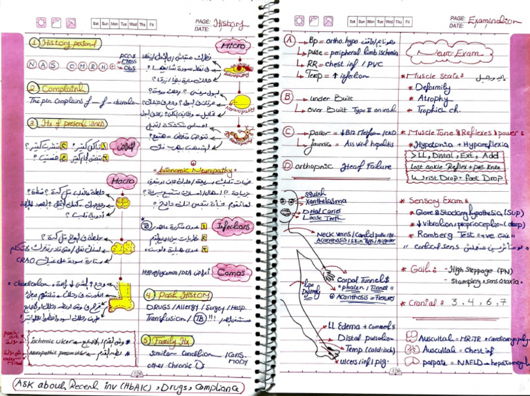 DM Sheet | PDF