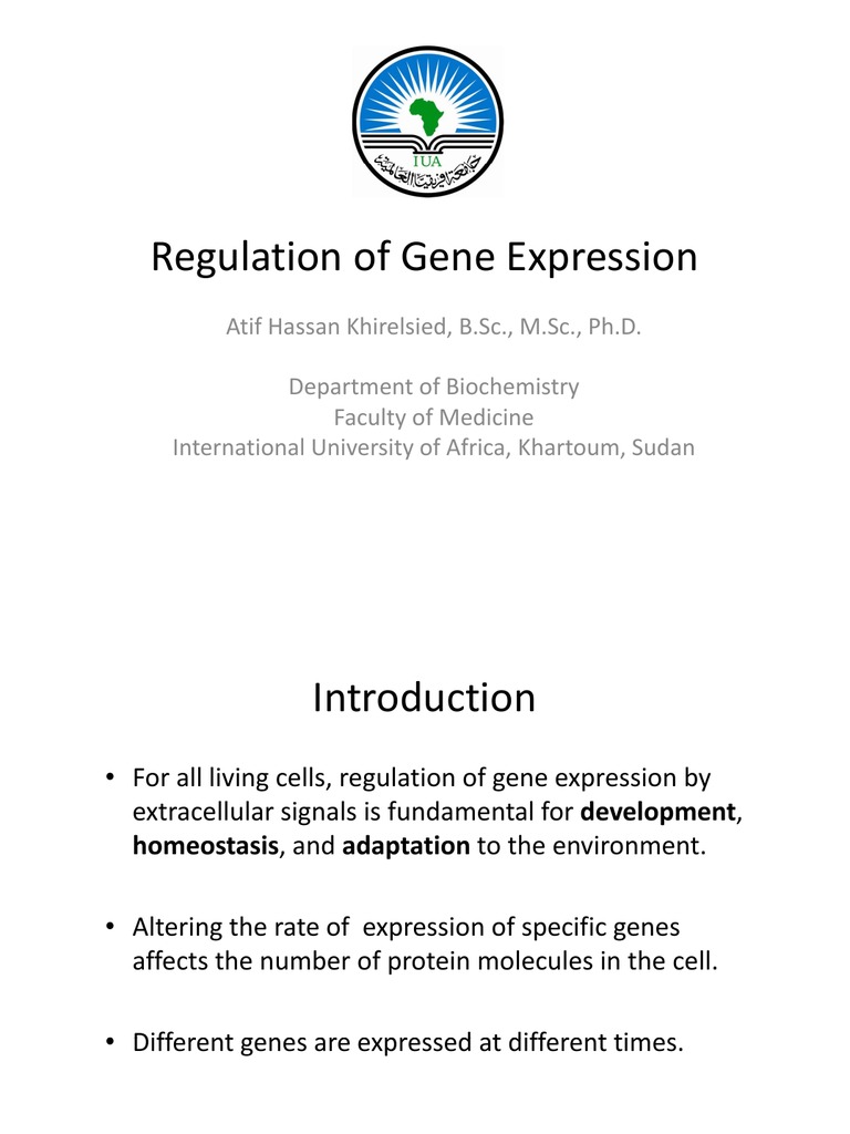 Regulation of Gene Expression (Dentistry 2012) | PDF | Regulation Of ...