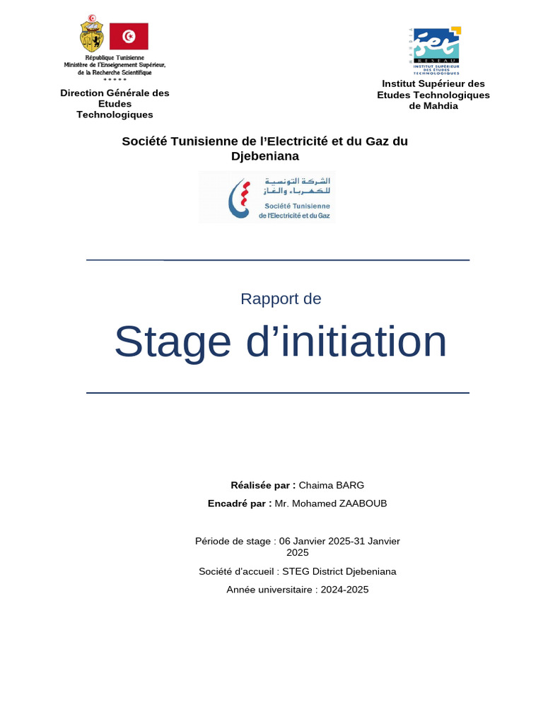 Rapport de Stage à la STEG Djebeniana | PDF | Économie énergétique ...