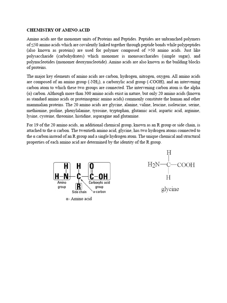 Amino Acids: Structure and Classification | PDF | Amino Acid | Cysteine