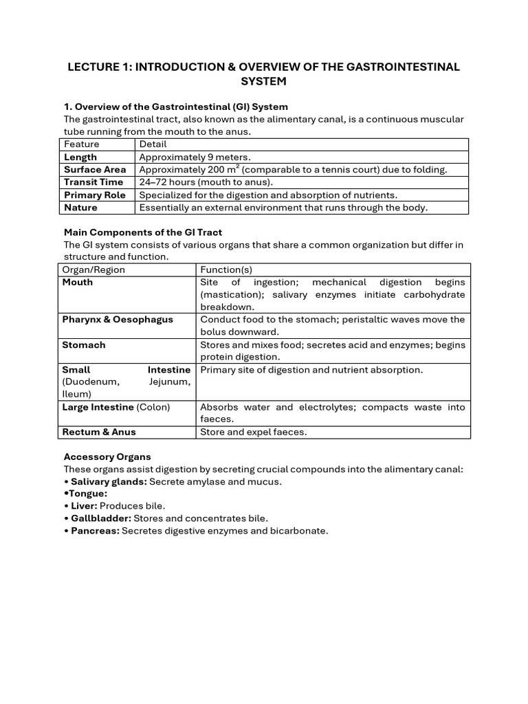 Overview of the Gastrointestinal System | PDF | Gastrointestinal Tract ...