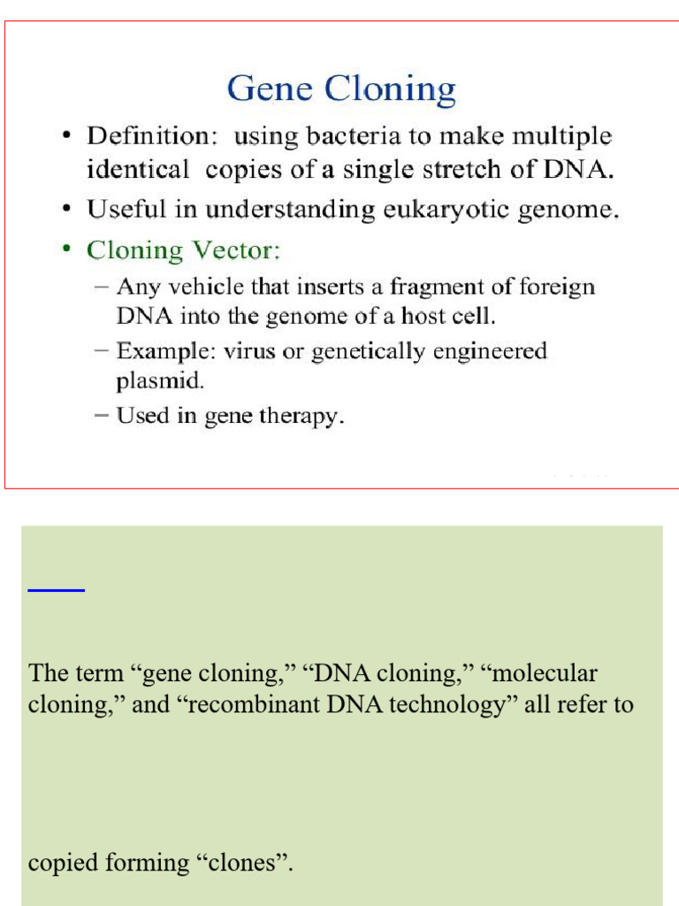 Understanding Gene Cloning Techniques | PDF | Molecular Cloning ...