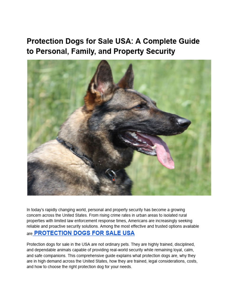 Protection Dogs for Sale: USA Guide | PDF | Dogs | Dog Training