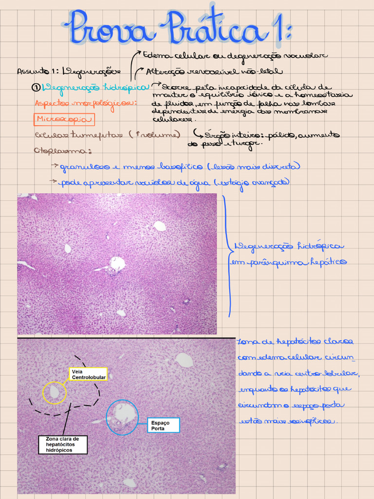 Estudo Patologia Prática 1_250611_001100 | PDF