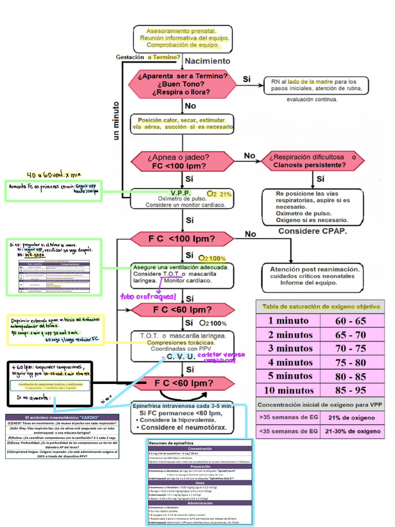 Algoritmo RCP | PDF