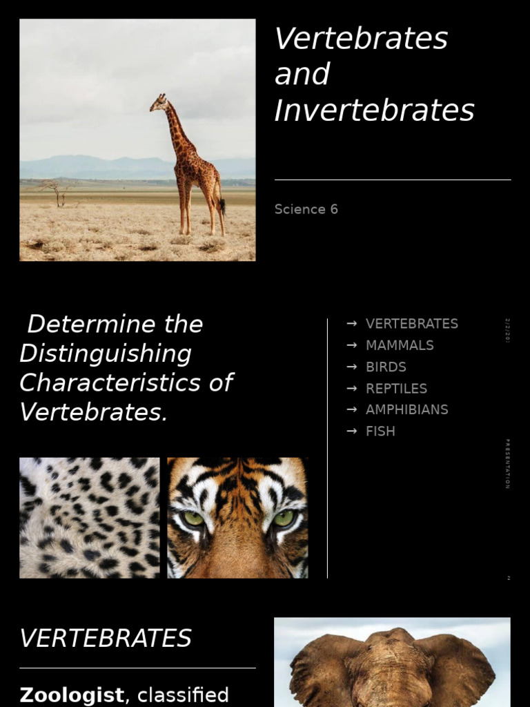 Vertebrates and Invertebrates | PDF | Vertebrates | Skeleton