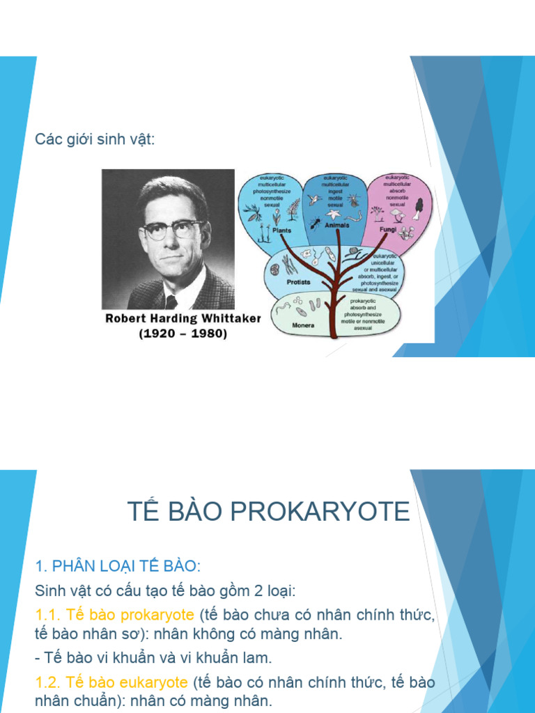 TB Prokaryote 2025 | PDF