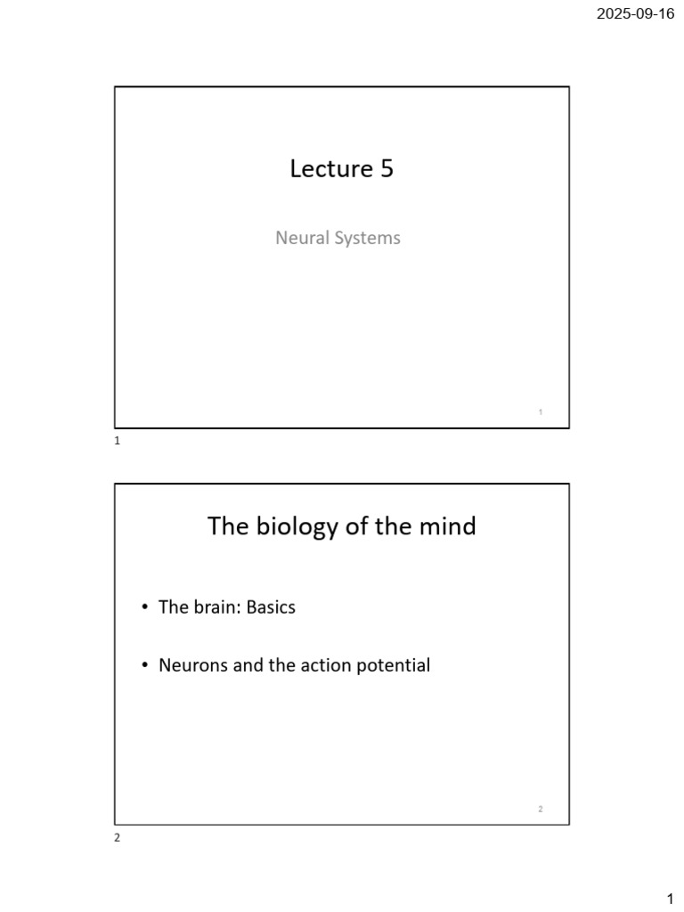 Overview of Neural Systems and Functions | PDF | Neuron | Action Potential
