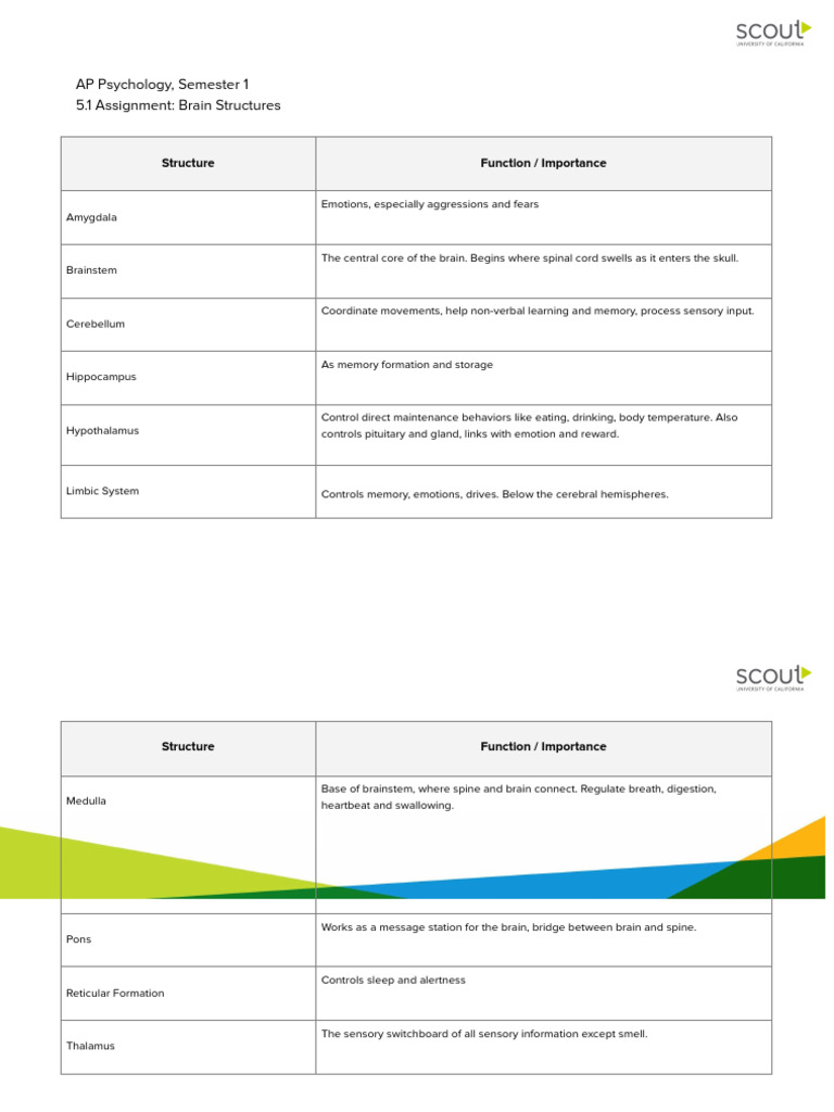 5.1 Assignment Template_ Brain Structures Chart（副本） | PDF
