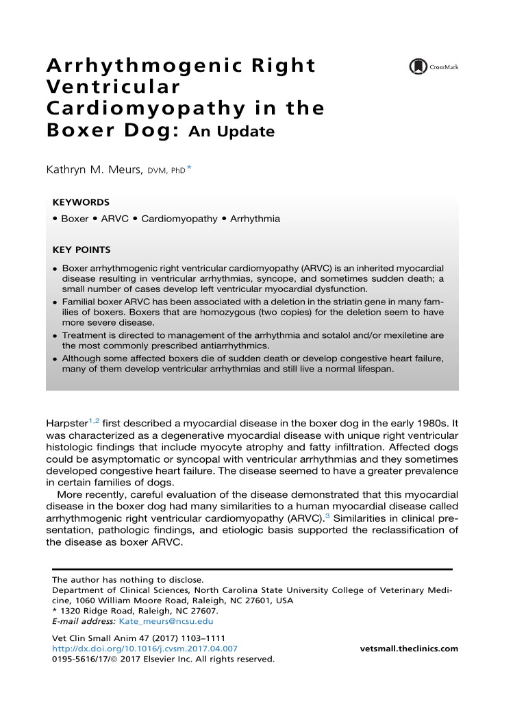 Boxer Dog ARVC: Diagnosis and Management | PDF | Heart Failure ...