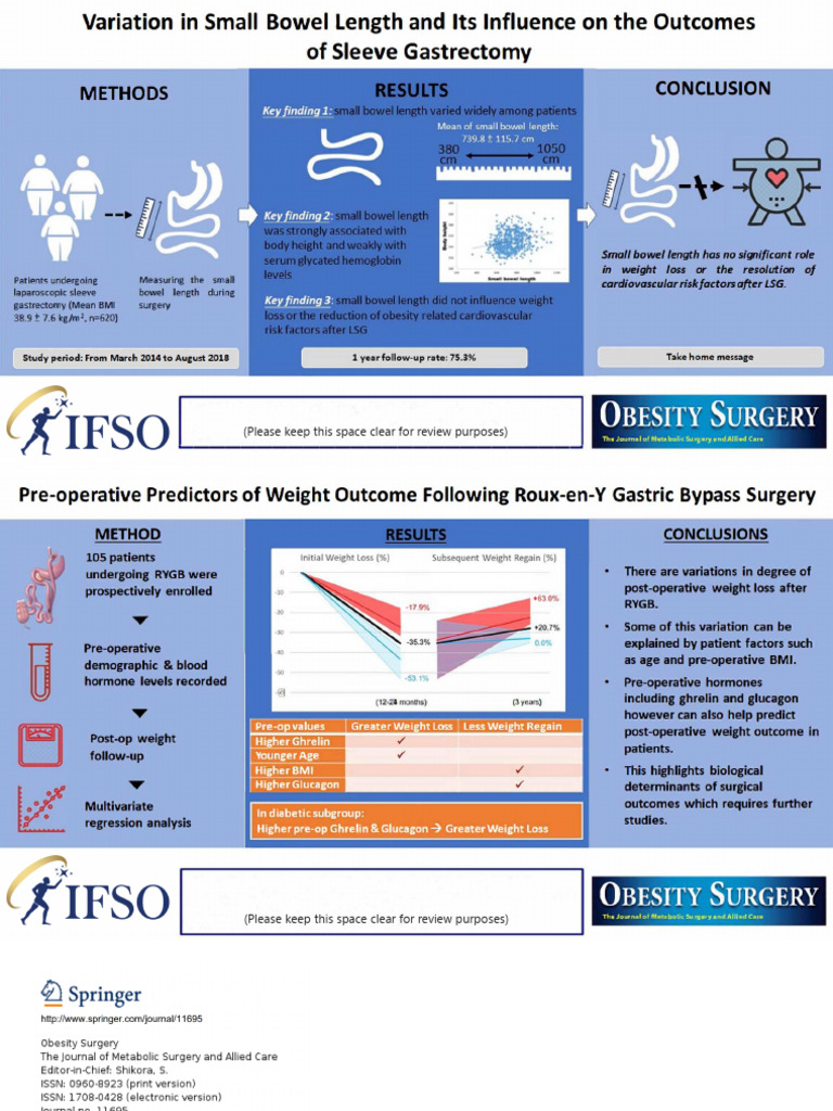 Examples - Visual Abstract - Obsu-Nov - 2023 | PDF