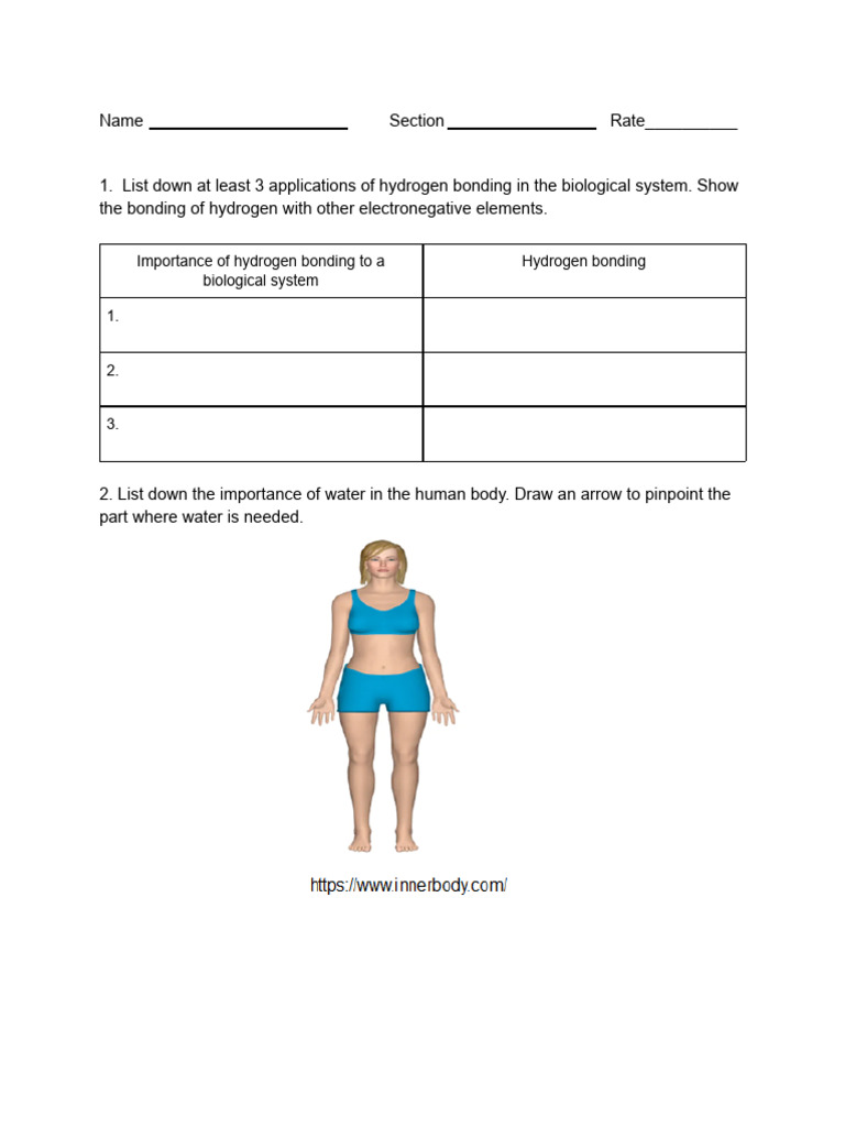 Task 1_Importance of Water | PDF