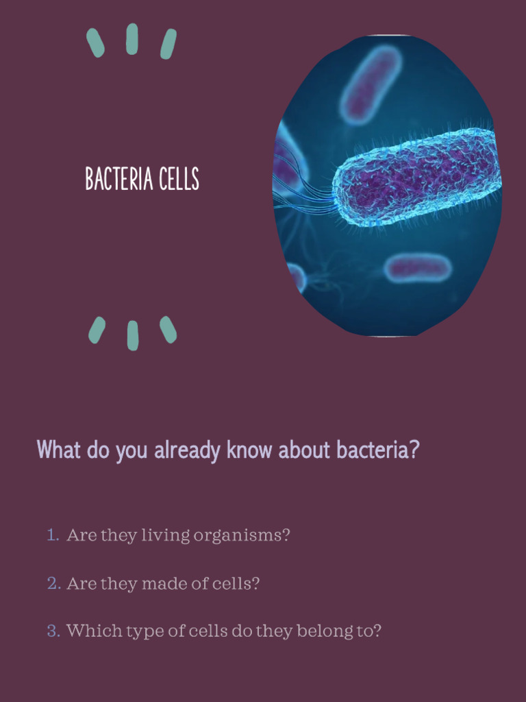 Understanding Bacteria and Viruses | PDF