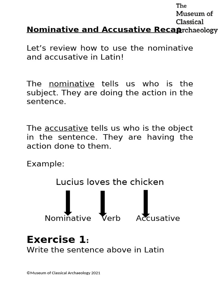 Copy of Nominative Accusative Recap | PDF