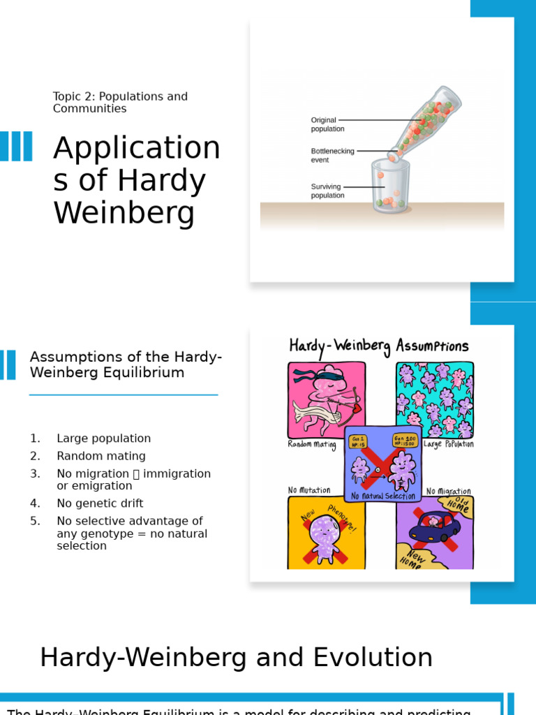 Hardy-Weinberg Equilibrium and Evolution | PDF | Mutation | Natural ...