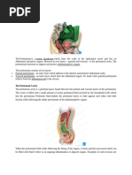 Special Regions of the Peritoneal Cavity | PDF | Peritoneum ...