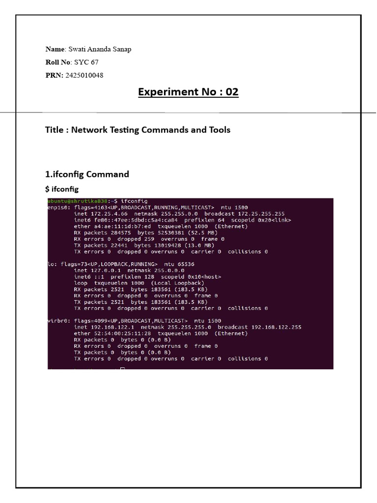 Network Testing Commands Overview | PDF