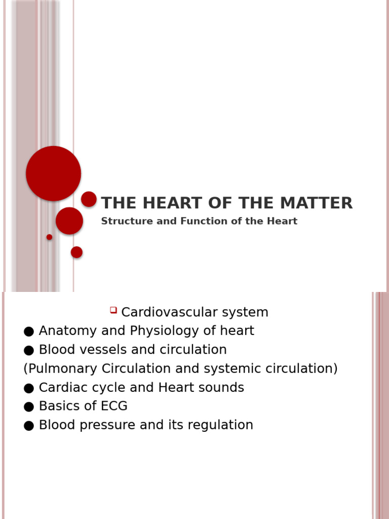 The Heart of the Matter | PDF | Heart Valve | Coronary Circulation