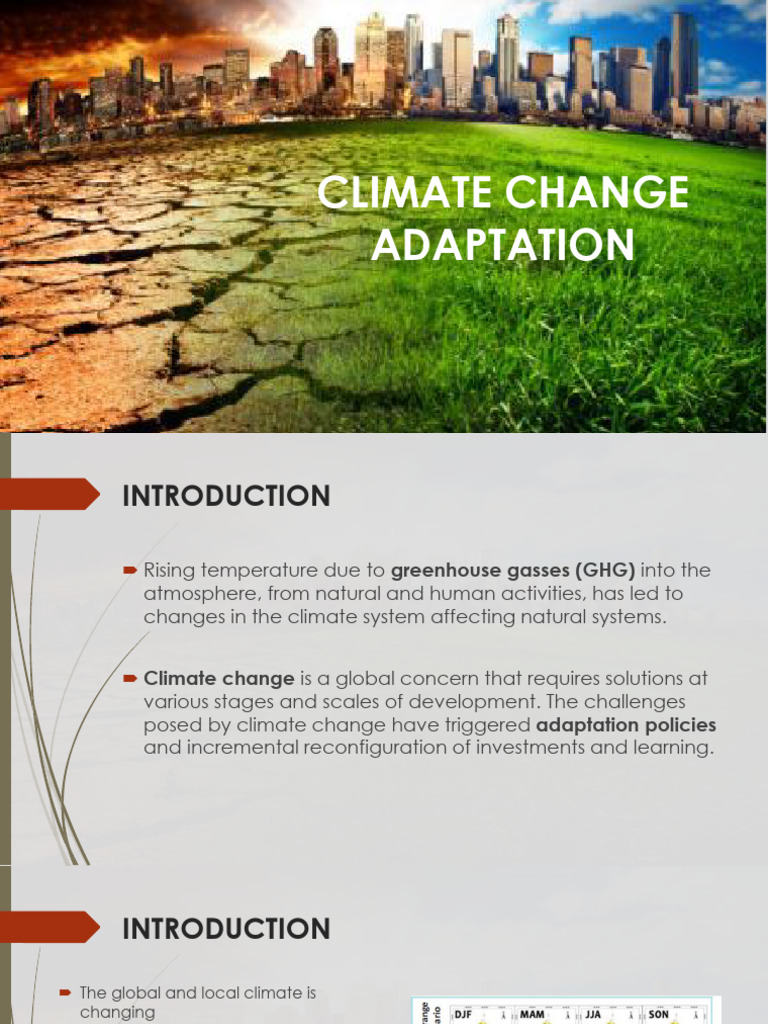 CCA Report | PDF | Climate Change | Sustainability