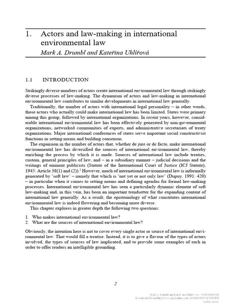 Actors in International Environmental Law | PDF | Climate Change ...