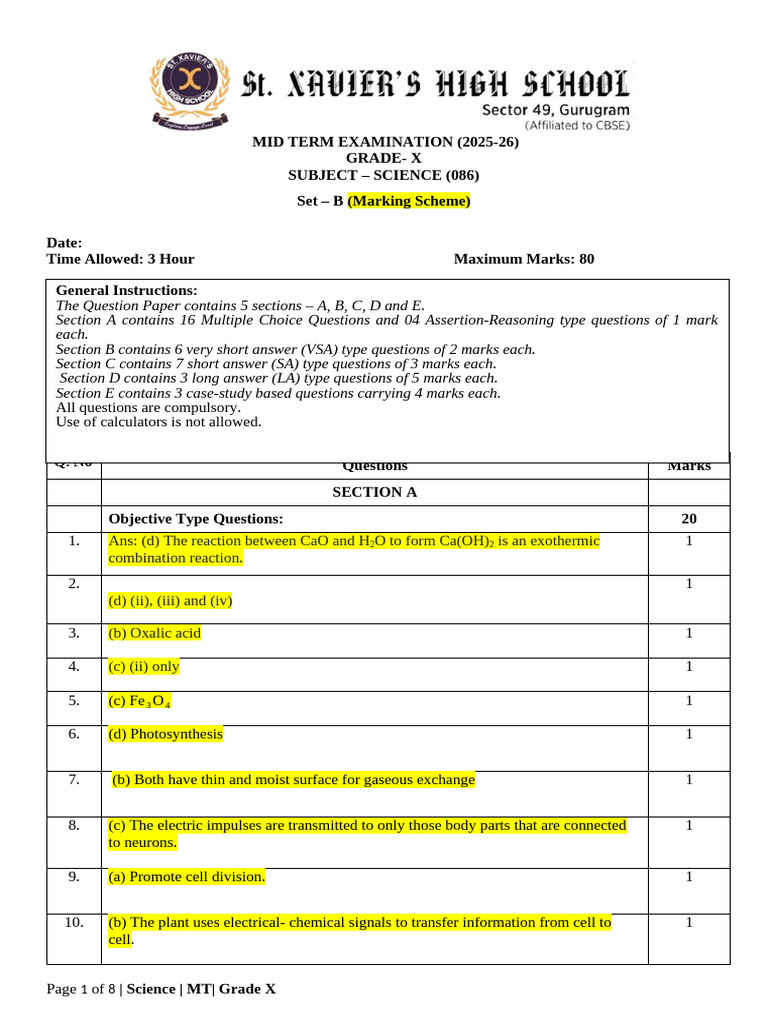 Grade X Science Mid Term Exam 2025-26 | PDF | Sky | Pancreas