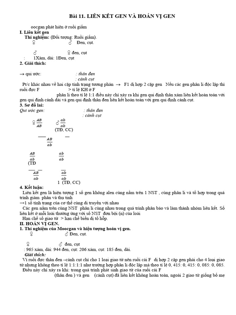Hoán vị gene | PDF