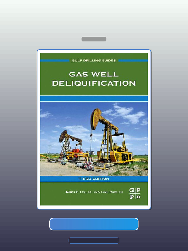 Test Bank for Gas Well Deliquification 3rd Edition | PDF | Oil Well ...