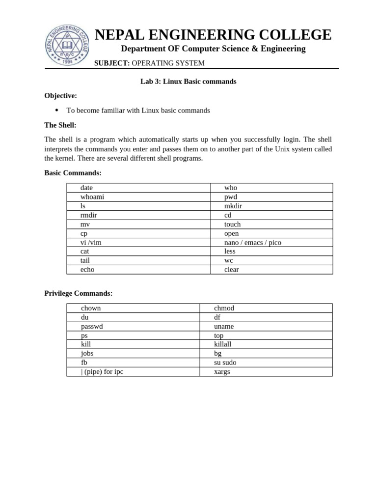 Linux Basic Commands Lab Guide | PDF