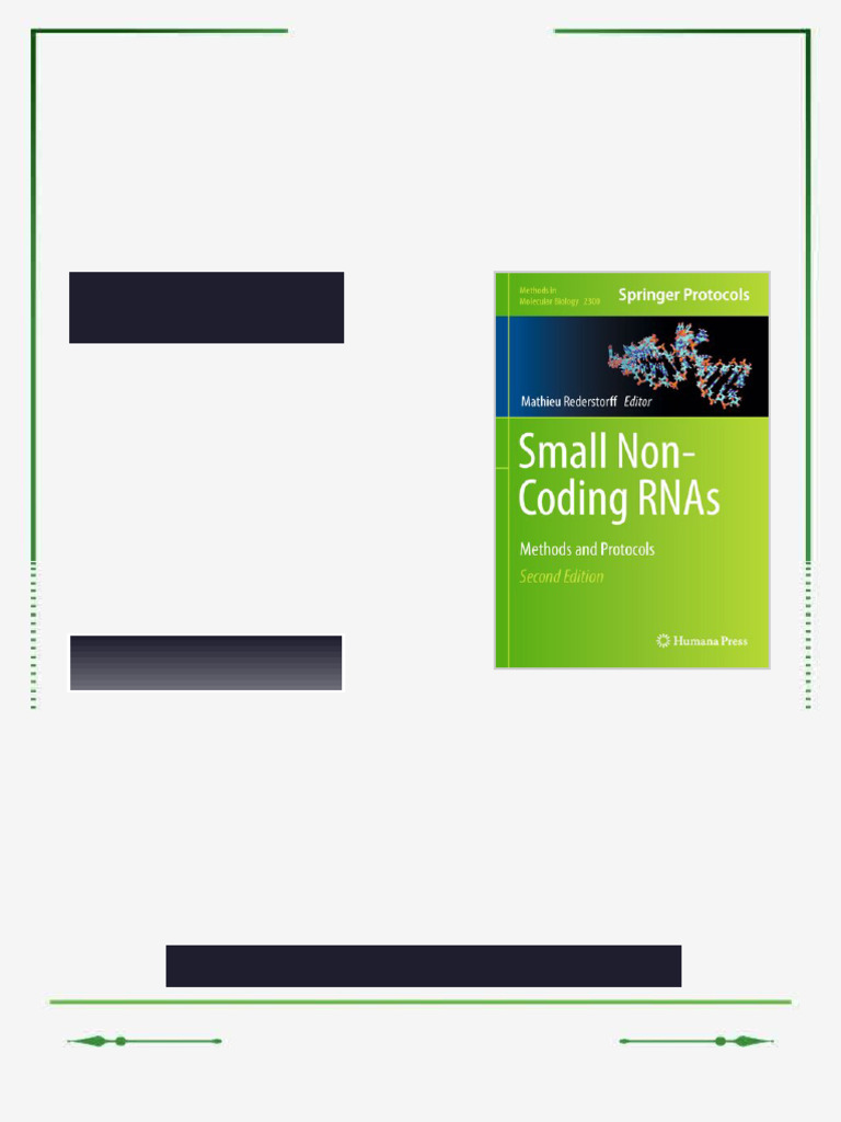 Small Non Coding RNAs Methods and Protocols Mathieu Rederstorff Editor ...