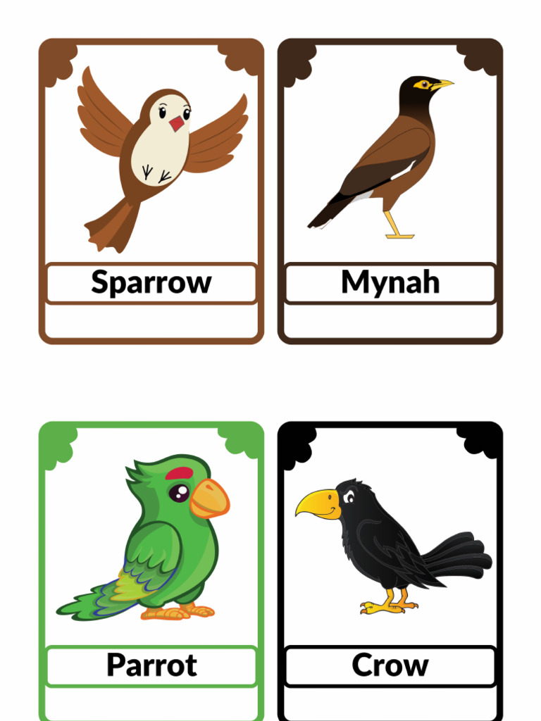 Birds | PDF