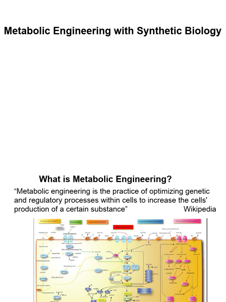 Metabolic Engineering in Synthetic Biology | PDF | Metabolism ...