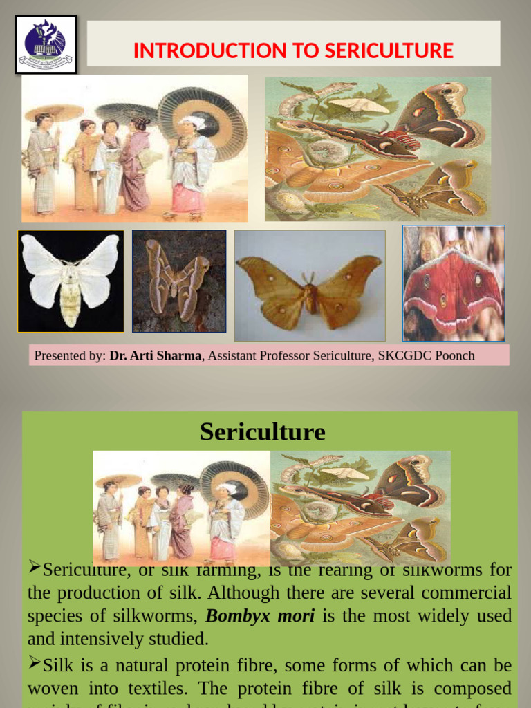 Introduction to Sericulture | PDF | Silk | Pupa