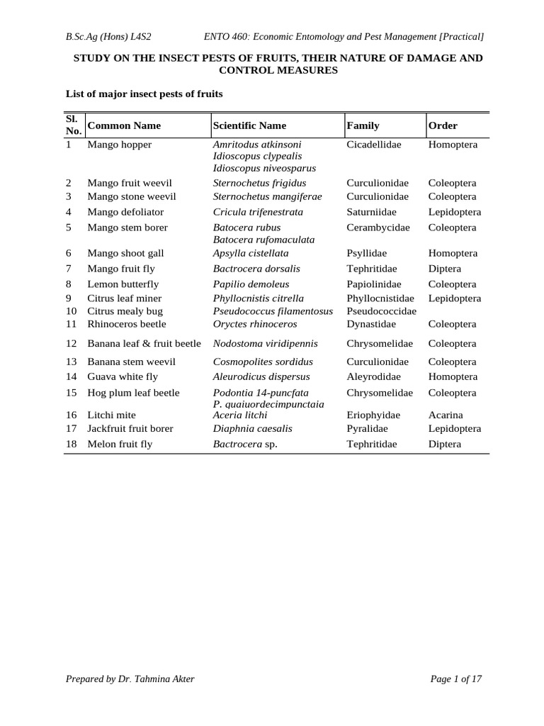 Insect Pests of Fruits: Damage & Control | PDF | Beetle | Pupa