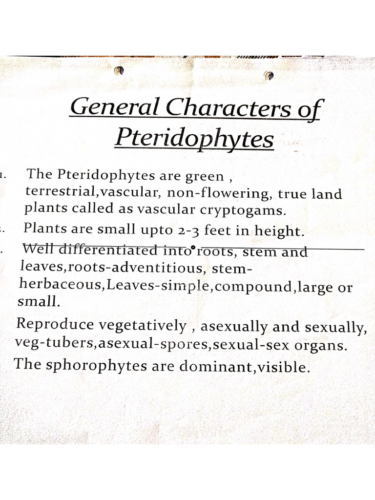 262 | PDF