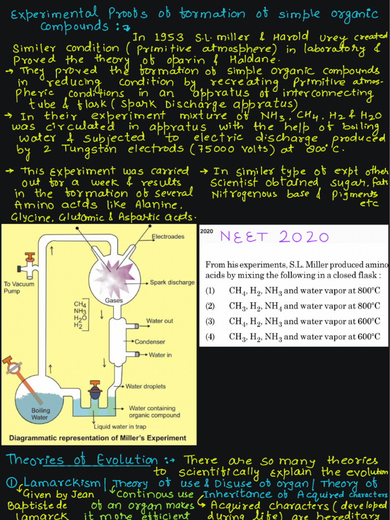Evolution 3rd Lec Final | PDF