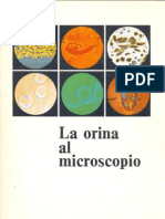 Orina Al Microscopio