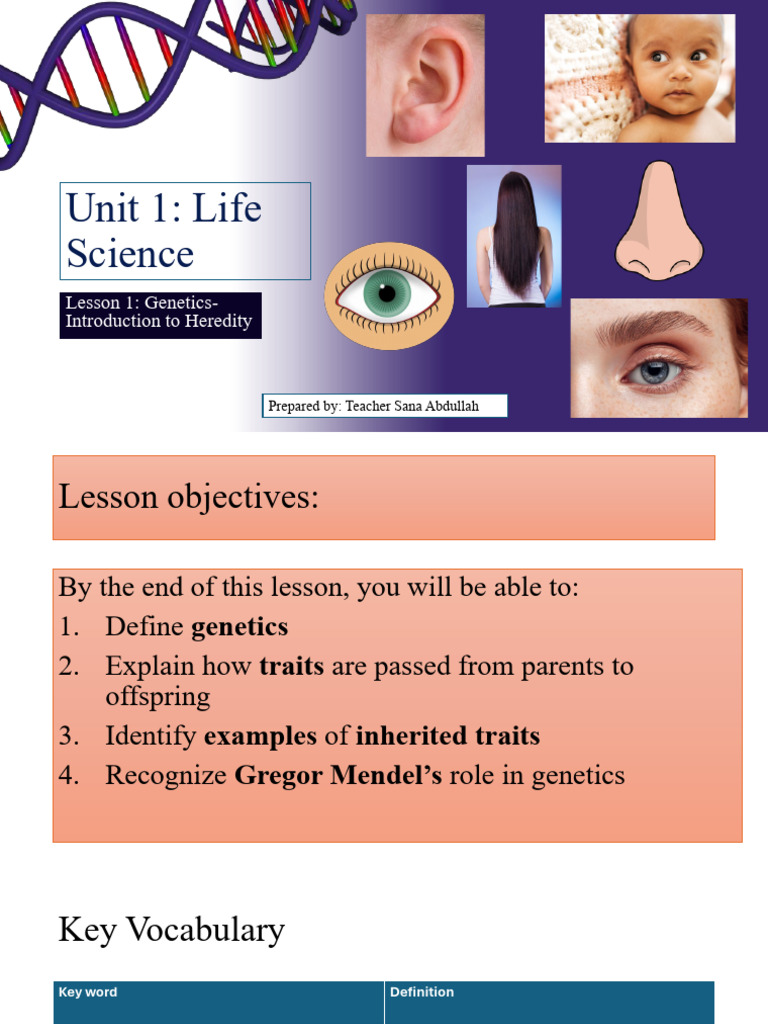 Introduction to Genetics and Heredity | PDF | Genetics | Heredity