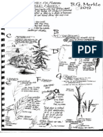 Tips For Field Sketching - B.G. Merkle (2012)