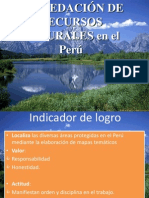 Depredacion Recursos Naturales