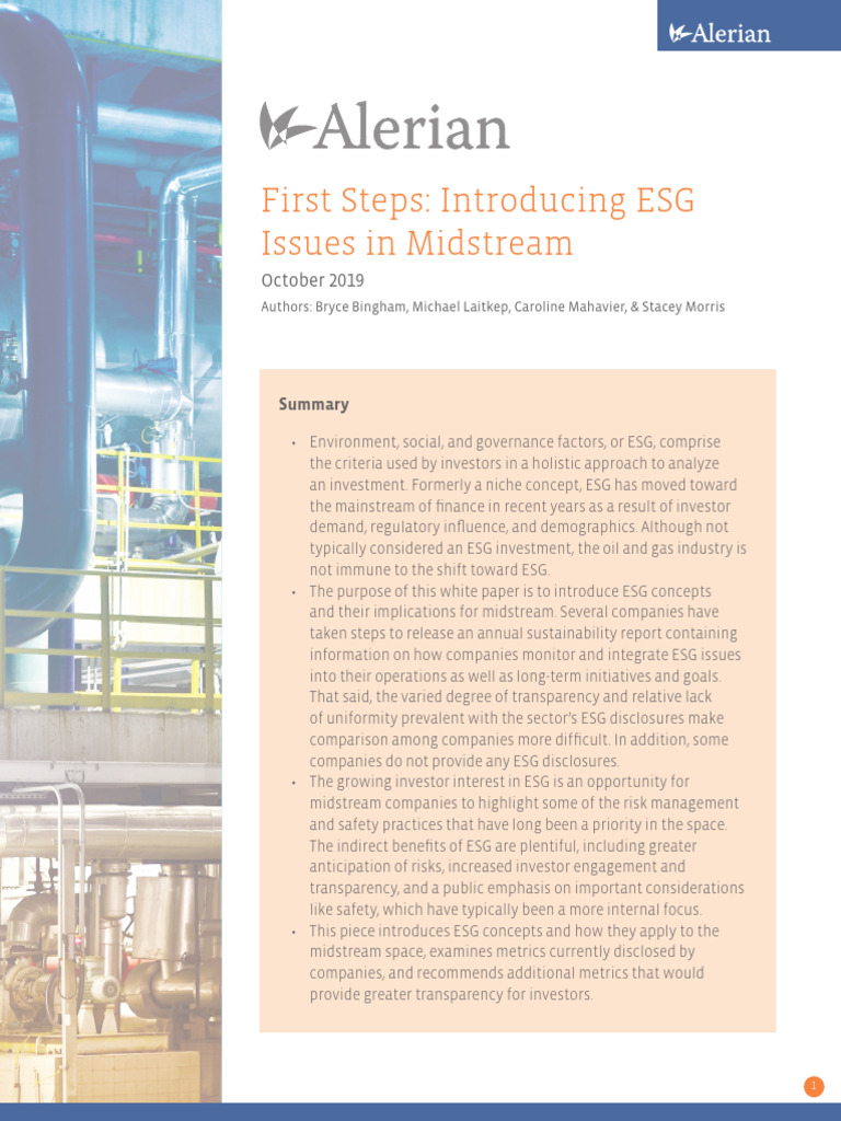 First Steps Introducing ESG Issues in Midstream | PDF | Investing | Risk