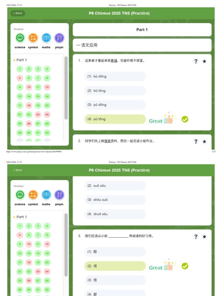 Practice - P6 Chinese 2025 TNS | PDF