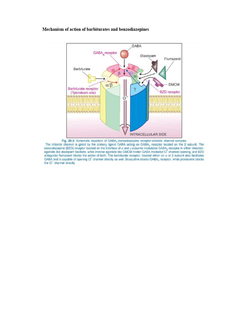 Benzodiazepines Mechanism Of Action Diagram