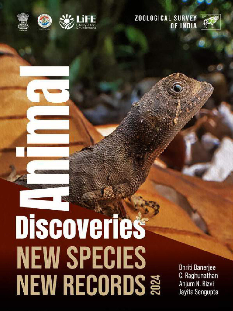 Animal Discoveries 2024: New Species Report | PDF | Biodiversity ...