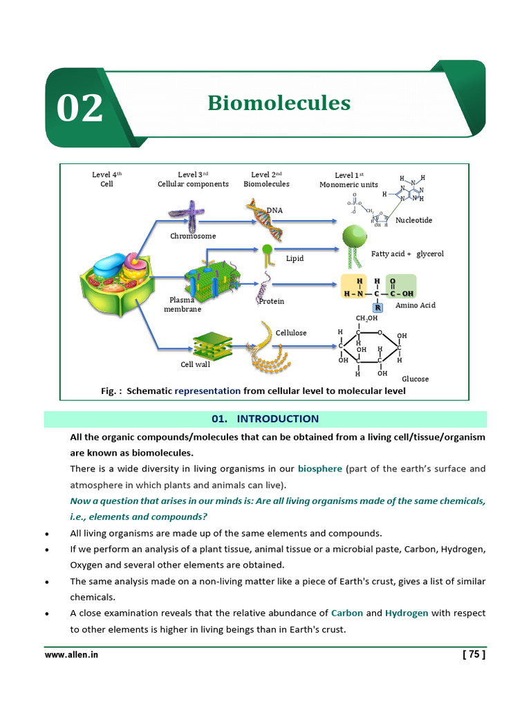Understanding Biomolecules and Their Analysis | PDF | Carbohydrates ...